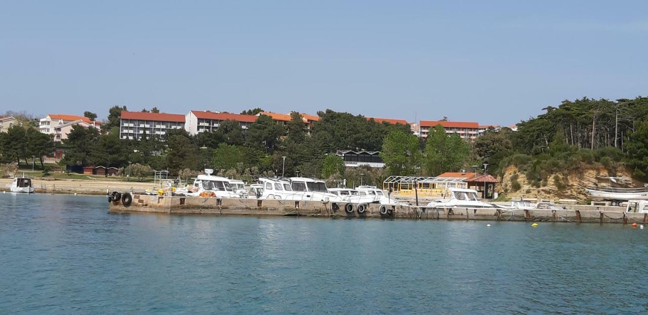 לופאר Apartman Pave & Ilija Jr מראה חיצוני תמונה